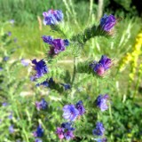 2506H 082 Donau Radweg